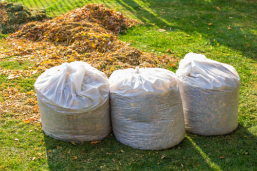 bags of yard waste ready for yard waste removal